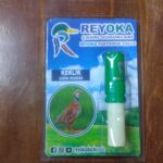 სასულე საყვირი