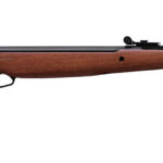 Stoeger X10 ზამბარა